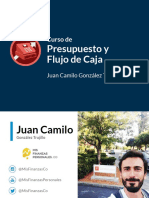 Presupuesto y Flujo de Caja