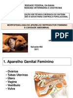 Morfofisiologia do aparelho reprodutor feminino