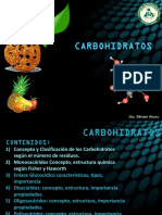 Carbohidratos PDF