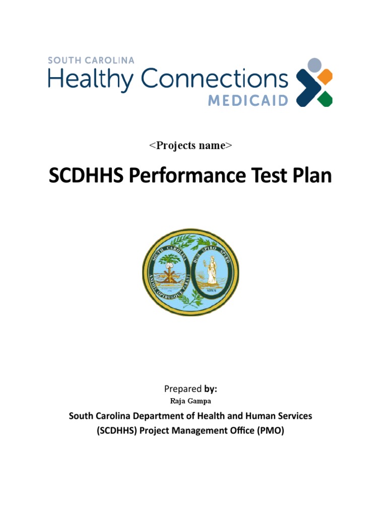 SCDHHS Performance Test Plan | PDF | Computer Architecture ...