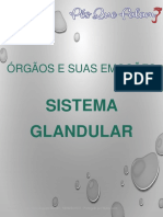 Orgaos e Suas Emocoes Sistema Glandular