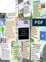 Planes de Accion y Acciones Establecidas en Medio Ambiente y SST