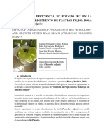 Articulo Fisiologia Vegetal I - Deficiencia de K - Semestre III