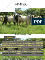 Manejo PDF