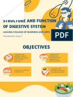 Digestive System Structure and Functions