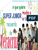 Banner Super Junior Veracruz