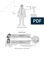 Sensory Organ