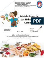 Metabolismo de Los Hidratos de Carbono Jose Roa