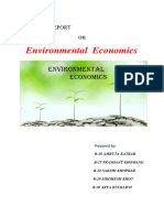 ENV Final Report