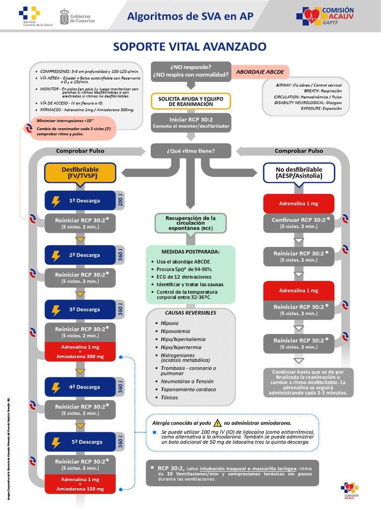 Algoritmos SVA PDF Reanimación cardiopulmonar Especialidades Medicas