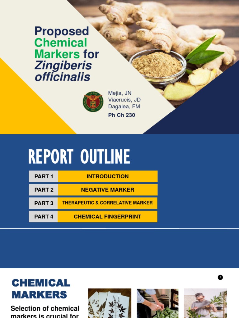 PhCh 230_Report 2 Ginger Chemical Marker.pdf PDF Chromatography
