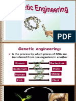 Lesson 6 Genetic Engineering