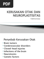 KERUSAKAN OTAK DAN NEUROPLASTISITAS Biopsikologi 2018