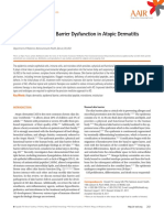 Aair 10 207 PDF