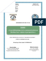 La Problématique de La Conteneurisation Au Burkina Faso