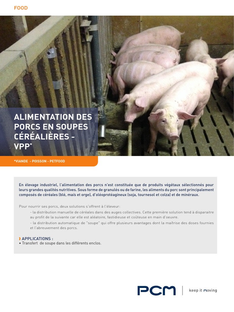 Ps Food Soupe de Porc FR C | PDF | Cochon | Pompe