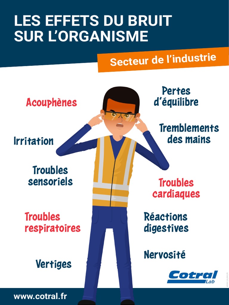 Effets du bruit sur la santé humaine | PDF