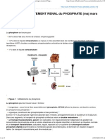 Publication Du Cuen Bilan Et Comportement Renal Du Phosphate