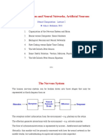 Biological Neurons and Neural Networks, Artificial Neurons