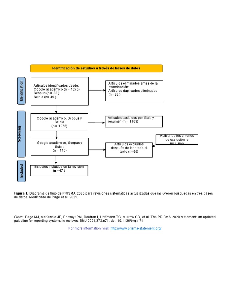 PRISMA 2020 Flow Diagram New SRs v1 | PDF