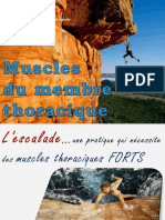 muscles membre thoracique 2022-23.pdf