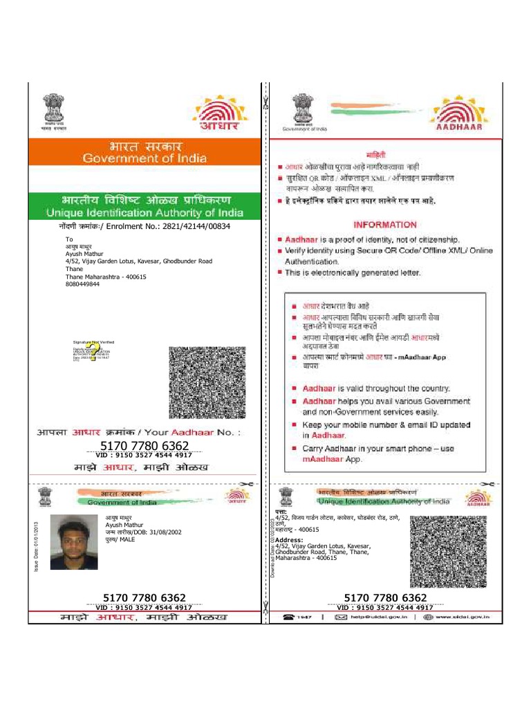 Ayush Mathur's Aadhar Card Details | PDF