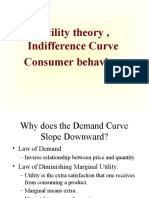 Consumer Behaviour Utility Theory and Idc