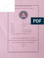 Erlangga Pratama Sirait - 2002020 - TSP PDF