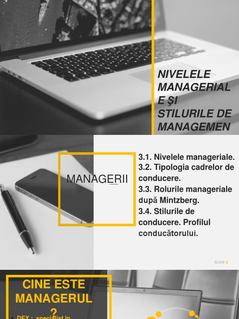 Tema - 3 - Nivelele Manageriale - Cadre de Conducere PDF | PDF