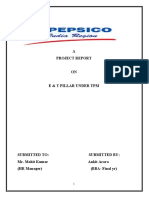 39004269-hr-project-on-pepsico-for-BBA.doc