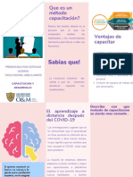 Contenido y Metodos de Capacitacion PDF