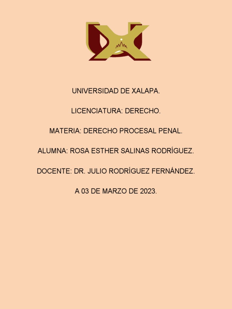 Etapa Inicial Del Proceso Penal | PDF | Procedimiento Criminal