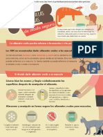 Pet Food Safety 2 Pager Spanish H