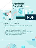 Levels of Organization in Animal Complexity 