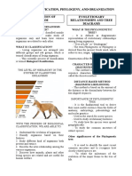 Animal Classification, Phylogeny