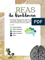 Áreas de Brodmann