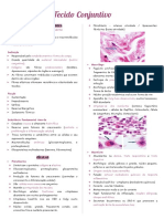 Tecido Conjuntivo - Resumo PDF