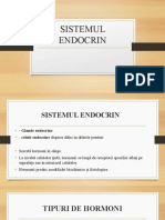13-Glande-endocrine