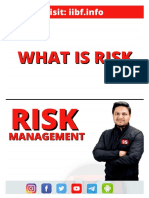 What Is Risk PDF