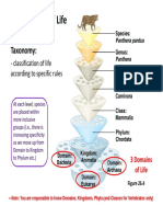 Bacteria & Protists Noted PDF