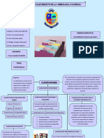 Clasificadores PDF