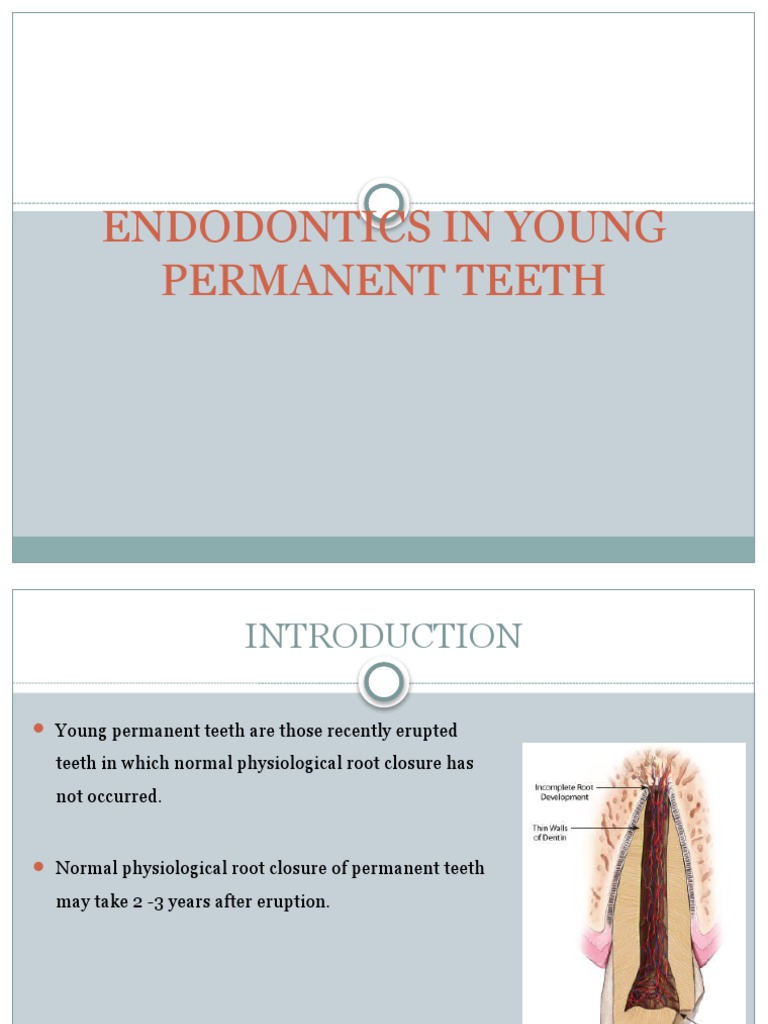 Apexification in Young Permanent Teeth | PDF | Dentistry Branches ...