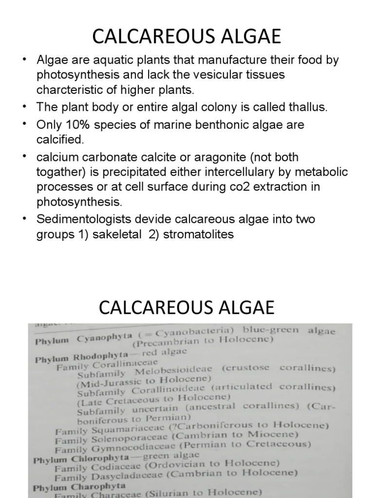 Calcareous Algae PDF Earth Sciences Organisms