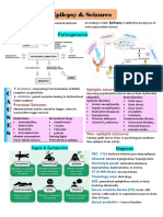 Epilepsy & Seizures: Pathogenesis