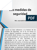 5las Medidas de Seguridad 13