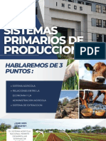 Sistemas Primarios de Produccion