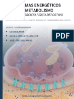 Sistemas Energéticos y Metabolistmo - CURSO ESPECIALISTA PDF