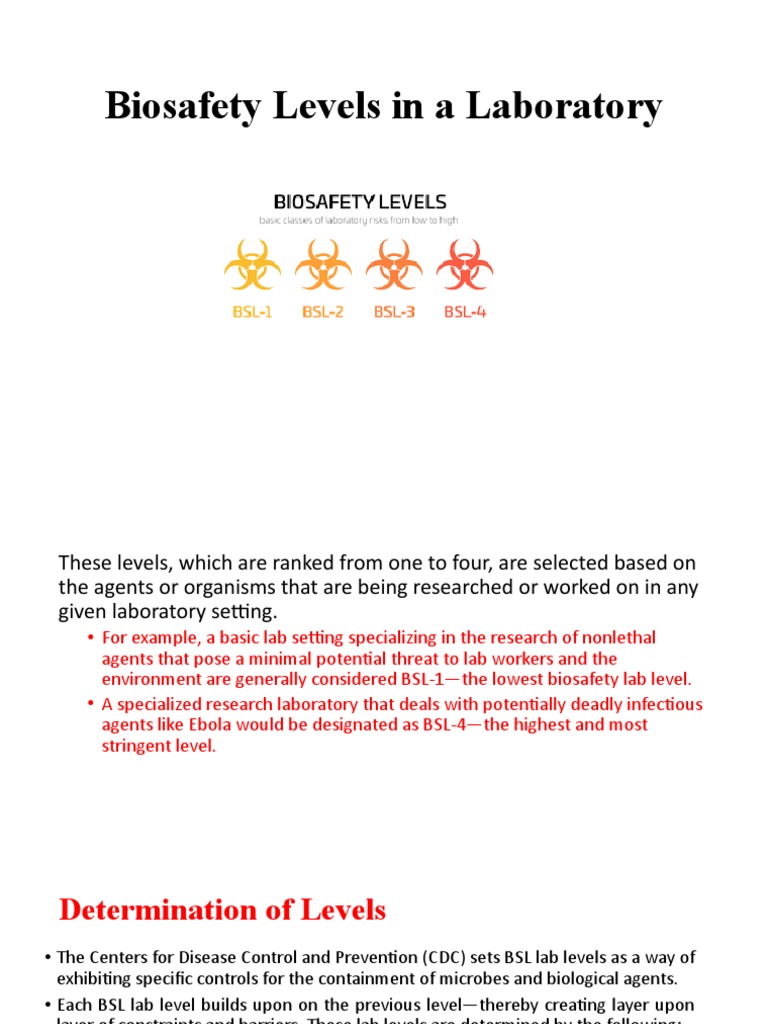 Bsl Levels Chart