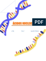 Ácidos Nucleicos