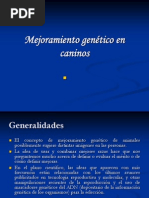 Mejoramiento Genetico en Caninos